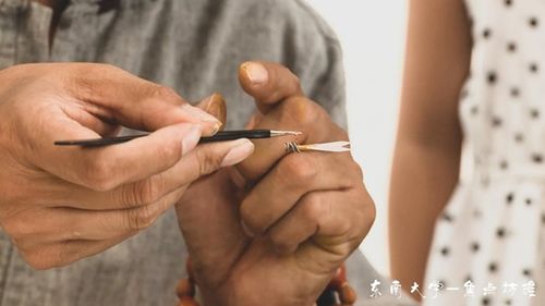 地?cái)偵系闹讣馑囆g(shù) 果核工藝品的非遺魅力與圖文設(shè)計(jì)之美
